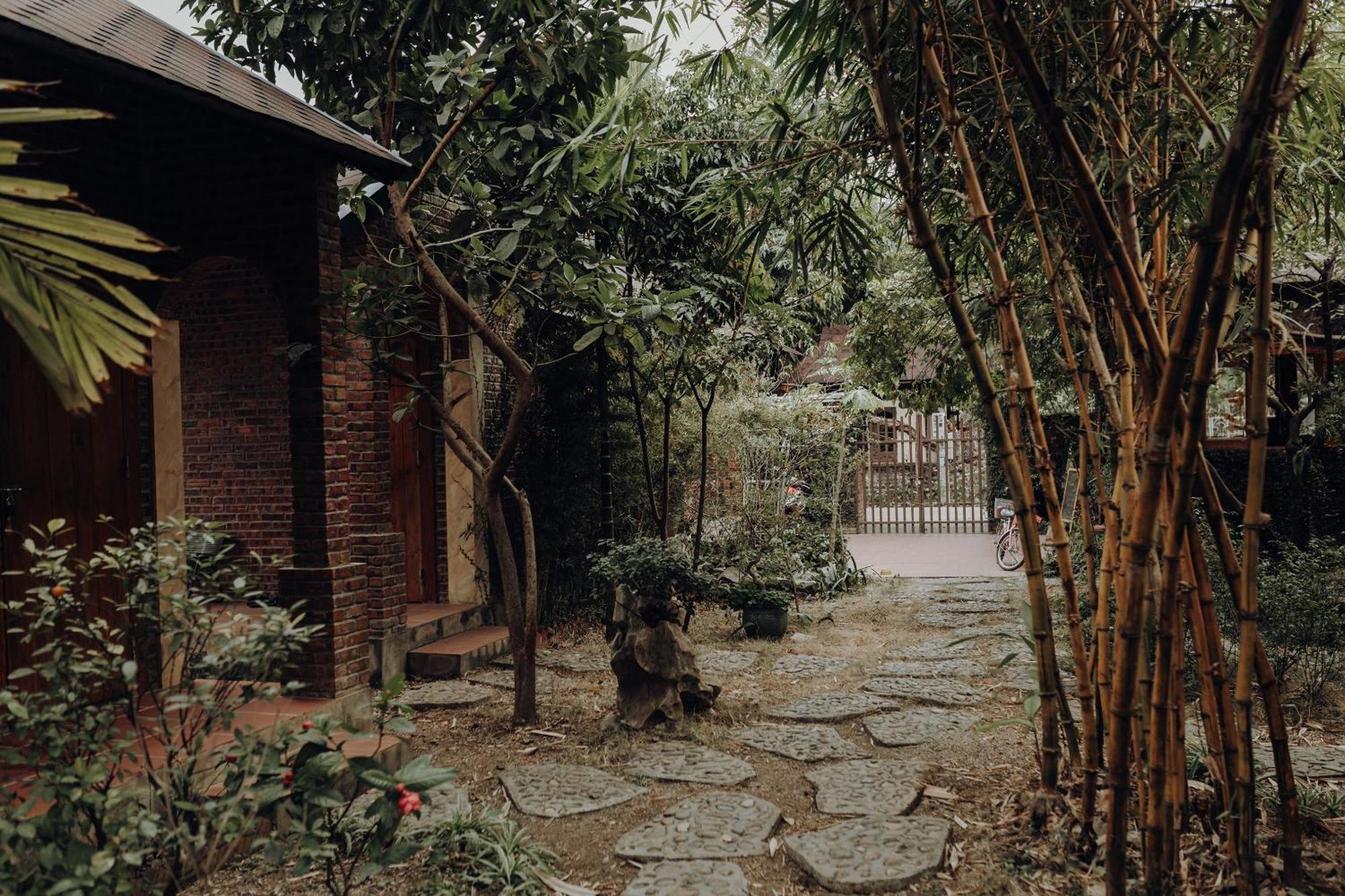 Ninh Binh Palm Homestay Exterior photo