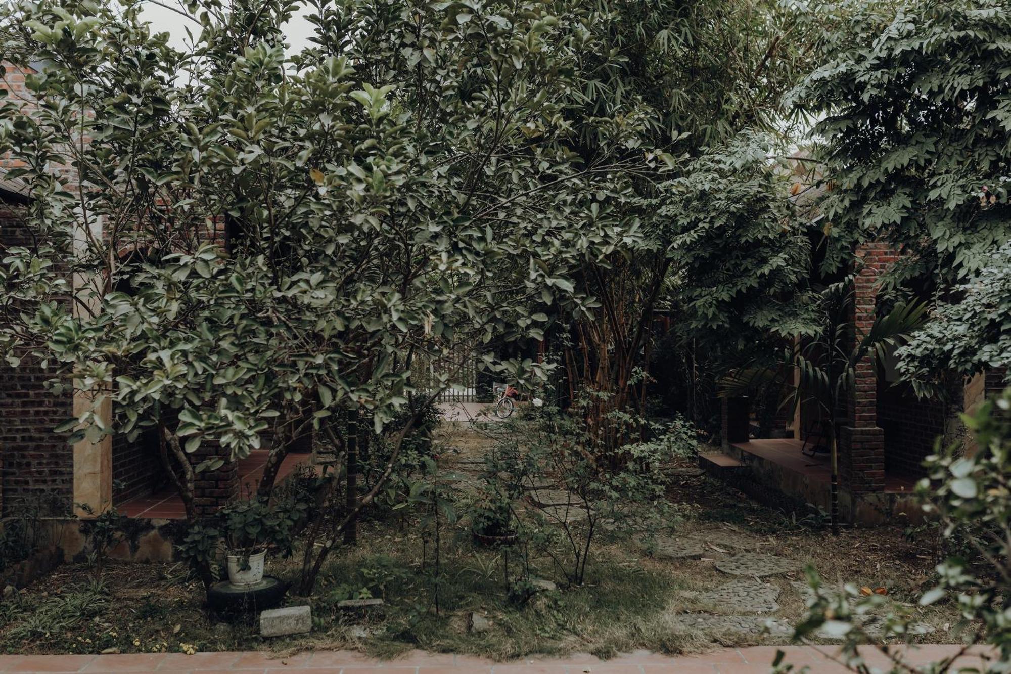 Ninh Binh Palm Homestay Exterior photo
