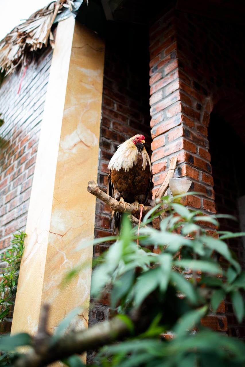 Ninh Binh Palm Homestay Exterior photo